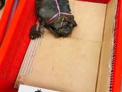 -龙海鲜螃蟹王(宏茂桥店)