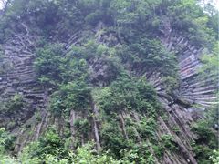 -望天鹅景区