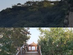 -大岭沟猕猴桃谷风景区