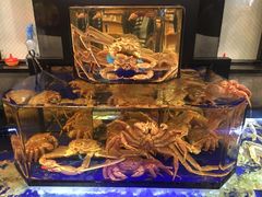 -蟹道乐(道顿堀本店)