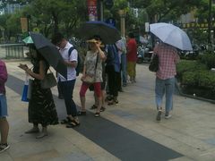 -麦当劳(塔园路店)