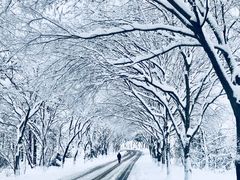 -天目湖涵田半山温泉