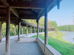 -上海海湾国家森林公园