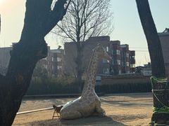 -辛庄国际文化艺术区