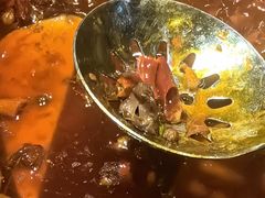 -重庆渝达老火锅(春熙路店)