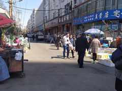 -哈尔滨道外花鸟鱼市场