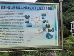 -小陇山国家森林公园桃花沟景区