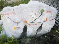 -勺湖公园