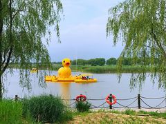 -野鸭湖国家湿地公园