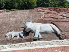 -哈尔滨北方森林动物园