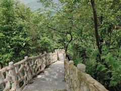-大金鹰园