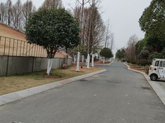 -合肥滨湖国家森林公园