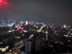 -339旋转餐厅(天府熊猫塔店)