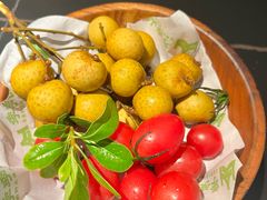 -季季山·云南野生菌火锅(上海首店)