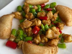 特色掌中宝-云中小雅