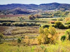 -塞罕坝国家级自然保护区