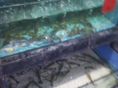 -渔傅·蓝海岸霞浦海鲜(正祥店)