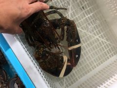 -霞涌市场海鲜摆卖区