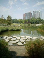 -大望京儿童游乐场