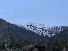 -林芝工布庄园希尔顿酒店-猎味中餐厅