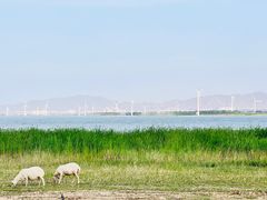 -怀来官厅水库