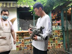 -喵屿·大理花园猫咖