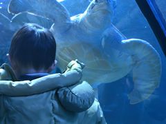 -太平洋海底世界