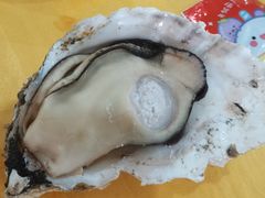生蚝-蚝专家(北滘店)
