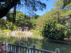 -荔湾湖公园