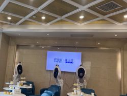 -碧莲盛·不剃发植发