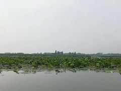 -白洋淀景区