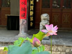 -兴教寺