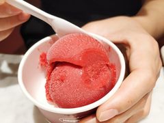 樱你而美-哈根达斯(深圳海岸城店)