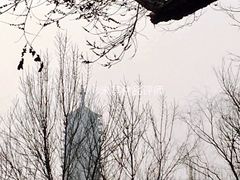 -永定河休闲森林公园