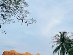 -清水湾旅游度假区