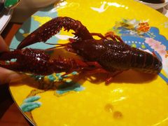 -毗陵醉·黑钻(湖塘店)