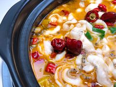 中辣酸菜鱼-周渝食惦酸菜鱼(青浦店)