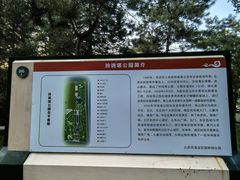 -玲珑塔公园