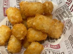 -The Habit Burger Grill 哈比特汉堡(世博店)