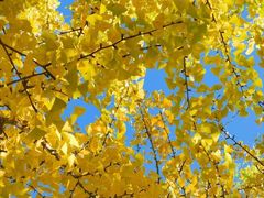 -天津东丽湖风景区