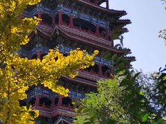 -门城湖公园