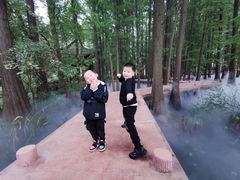 -东湖落雁景区