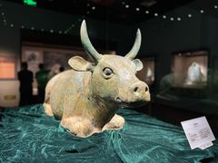 -宁夏博物馆