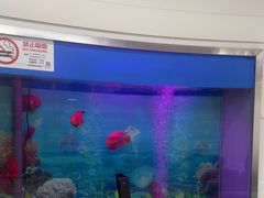 -雅悦齿科(顾村公园店)