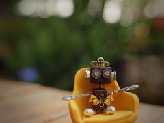 -时光花园(白鹭洲店)