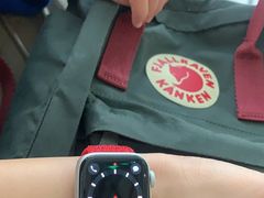 -Apple 零售店(Canton Road)