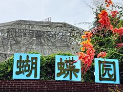-野象谷景区