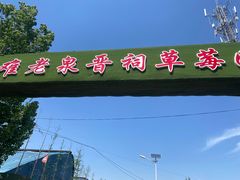 -田趣农庄草莓采摘园