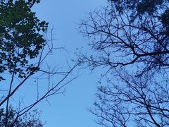 -壹华里市集