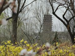 -永定河休闲森林公园